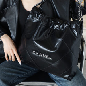 bag0333 Chanel 22 Bag