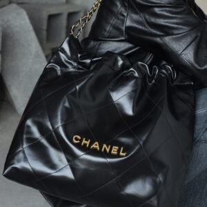 bag0334 Chanel 22 Bag