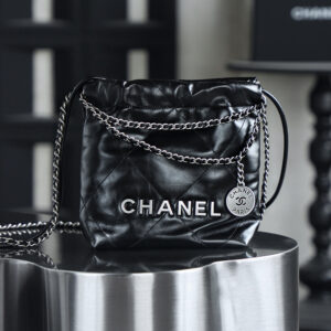 bag0339 Chanel Bag Mini Silver Hardware