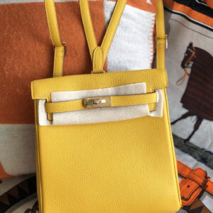hm0913 Hermes Kelly Top Handle Bag Yellow Silver Hardware