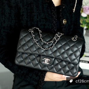 bag0383 Chanel Classic Flap