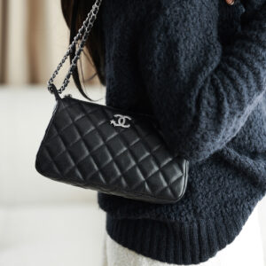 bag0406 Chanel Bag