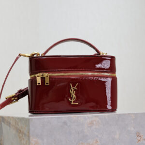 ysl0829 YSL GABY Vanity Bag Mini