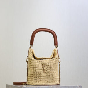 ysl0837 YSL GABY Vanity Bag