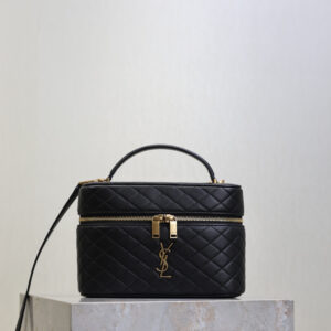 ysl0839 YSL GABY Vanity Bag