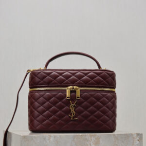 ysl0843 YSL GABY Vanity Bag
