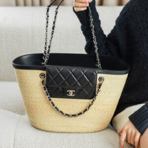 bag0433 Chanel Bag Large