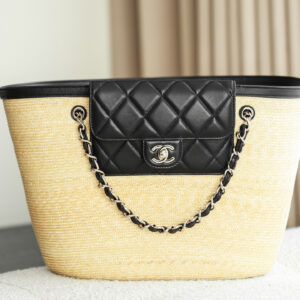bag0434 Chanel Bag Large