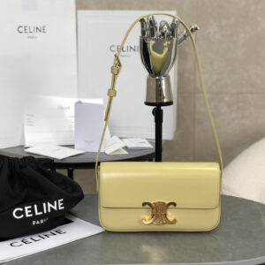cel0114 Celine Triomphe Ava Hobo Bag