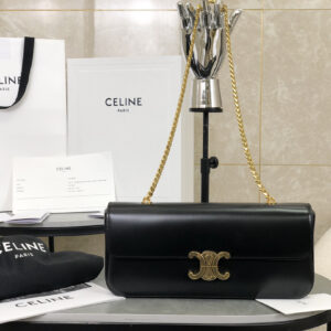 cel0121 Celine Triomphe Ava Hobo Bag