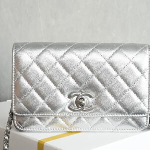 bag0448 Chanel Bag Silver