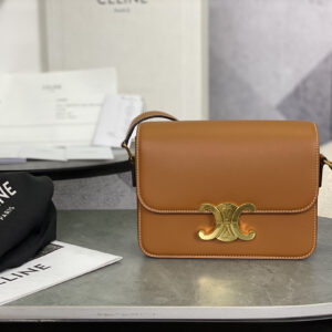 cel0281 Celine Triomphe Box Brown