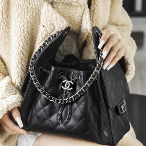 bag0476 Chanel 25 Bag