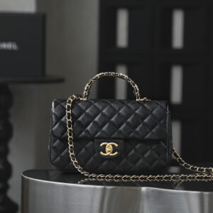 bag0480 Chanel Classic Flap Top Handle