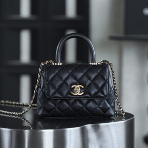 bag0502 Chanel Top Handle