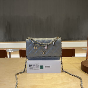 bag0504 Chanel WOC