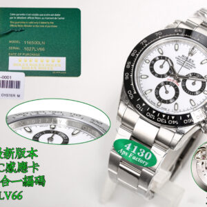 Rolex Daytona Silver - watch0540