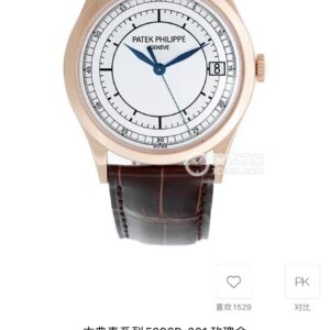 Patek Philippe Watch - watch0889