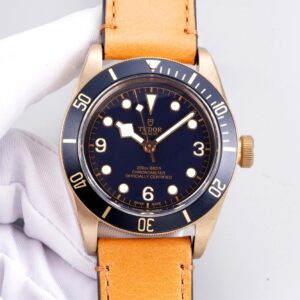 Tudor Watch 43mm - watch0964