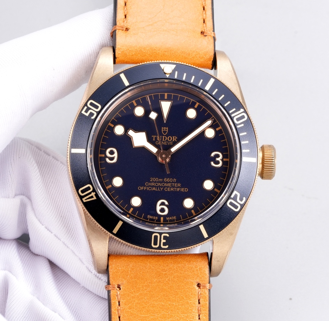 Tudor Watch 43mm - watch0964