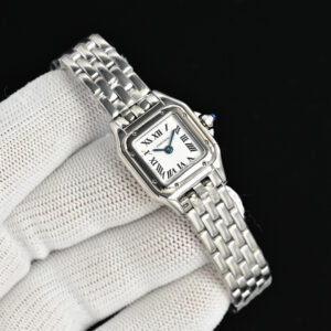 Cartier Watch 25mm White / Blue - watch0979