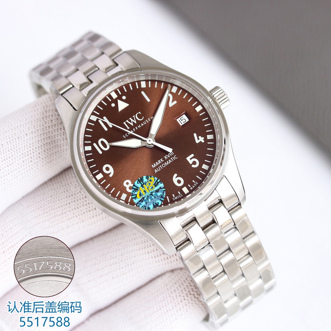 IWC Pilot 40mm Silver - watch1648