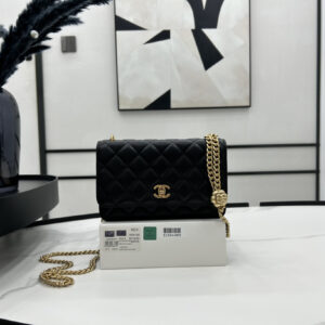 bag0783 Chanel Bag