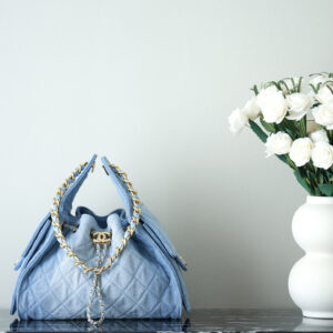 bag0875 Chanel 25 Bag