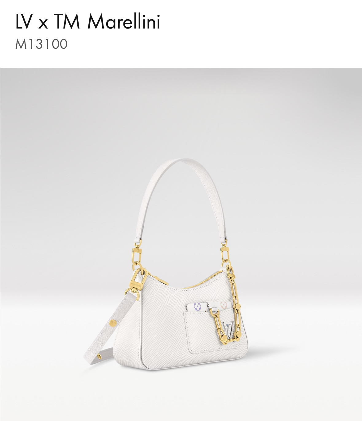 lv0109 Louis Vuitton M13099 Bag with Dynamic Code - Image 5